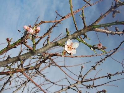 Прикрепленное изображение: 11.JPG